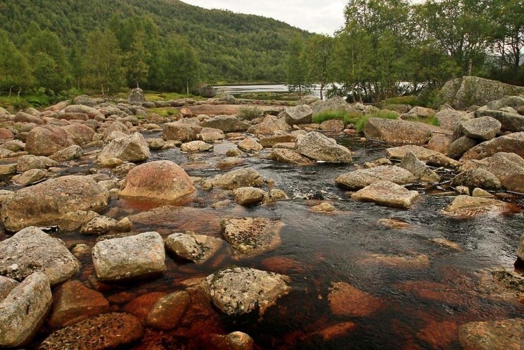 Tjørni Tjørni ligger 598 moh, har et innsjøareal på 0,1264 km 2 og vassdragsnummer 022G1. Innsjøen er nesten 700 m langt og vel 300 m bedt på det meste. Terrenget rundt er relativt bratt.