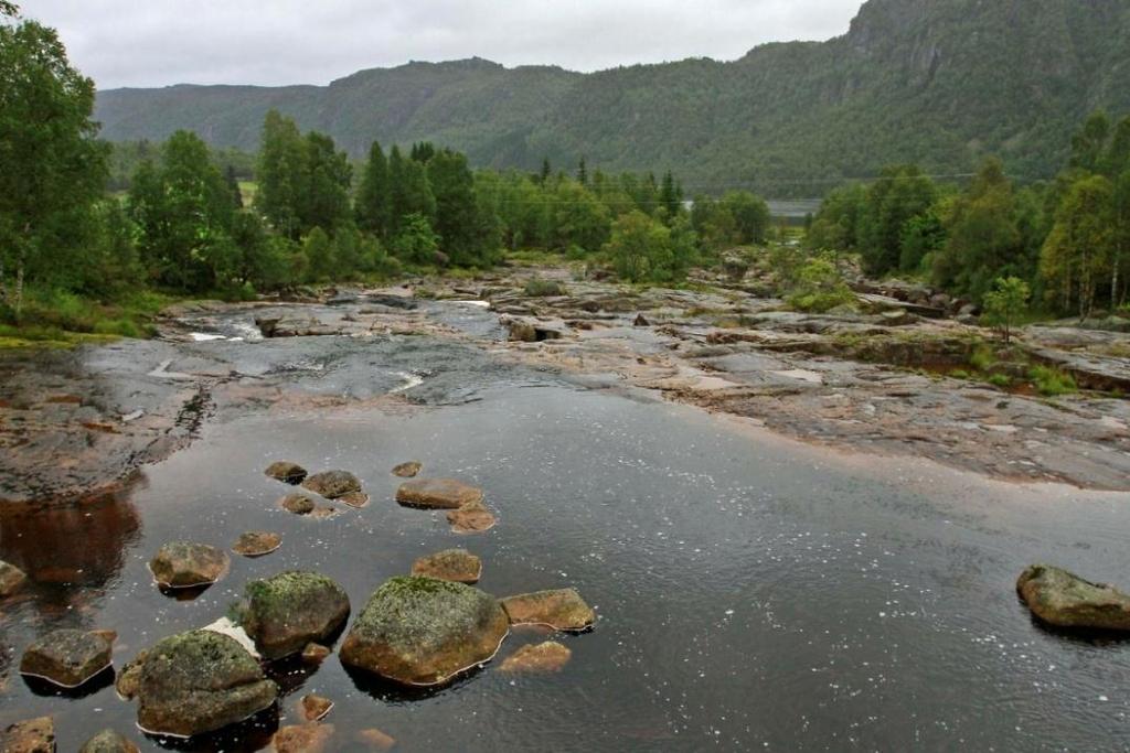 Figur 6-43. Monn sett fra brua som krysser elva ca 250 m ovenfor der den renner ut i Ljoslandsvatn. Vannet kan skimtes i bakgrunnen. Foto 24.08.2011 Finn Gravem.