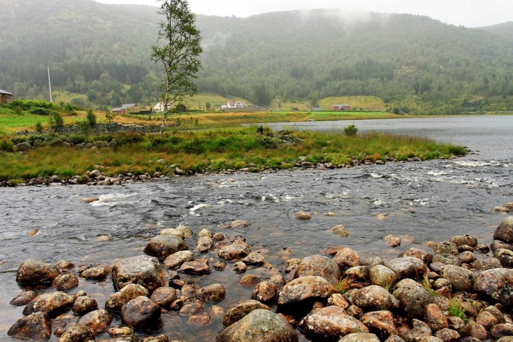 krysser elva ca 400 m ovenfor utløpet i Bredlandsvatnet. Foto 24.