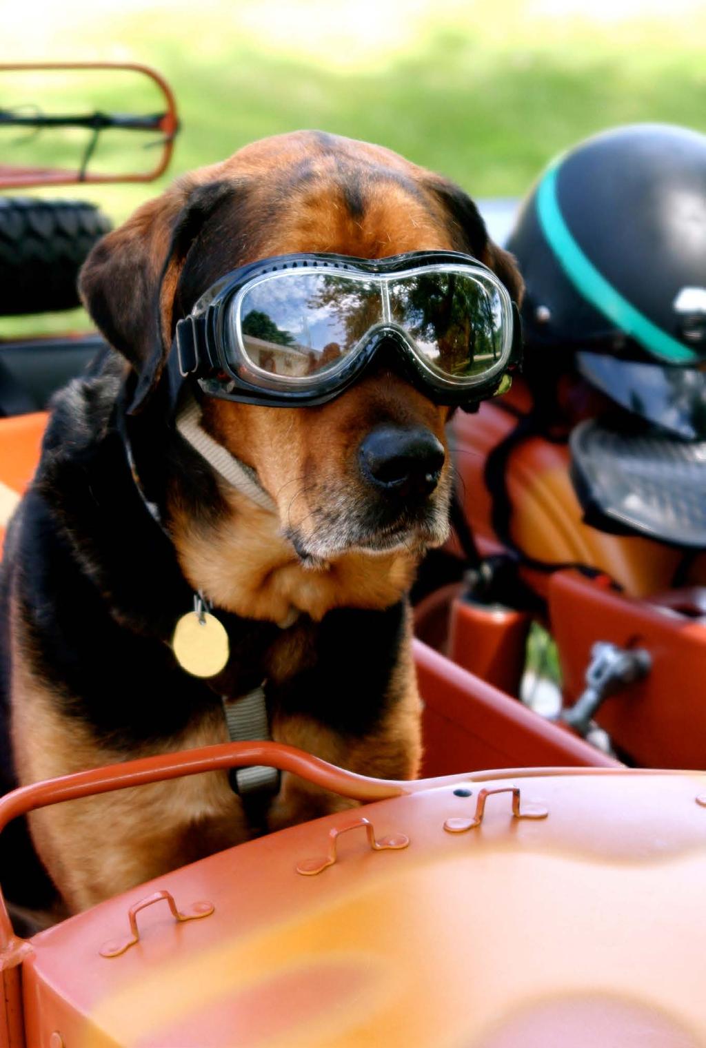 MC Rå motorkraft, adrenalin, susende forbi bilkøen den ultimate frihetsfølelsen! En god forsikring gir deg frihet til å nyte alle opplevelsene med god samvittighet.