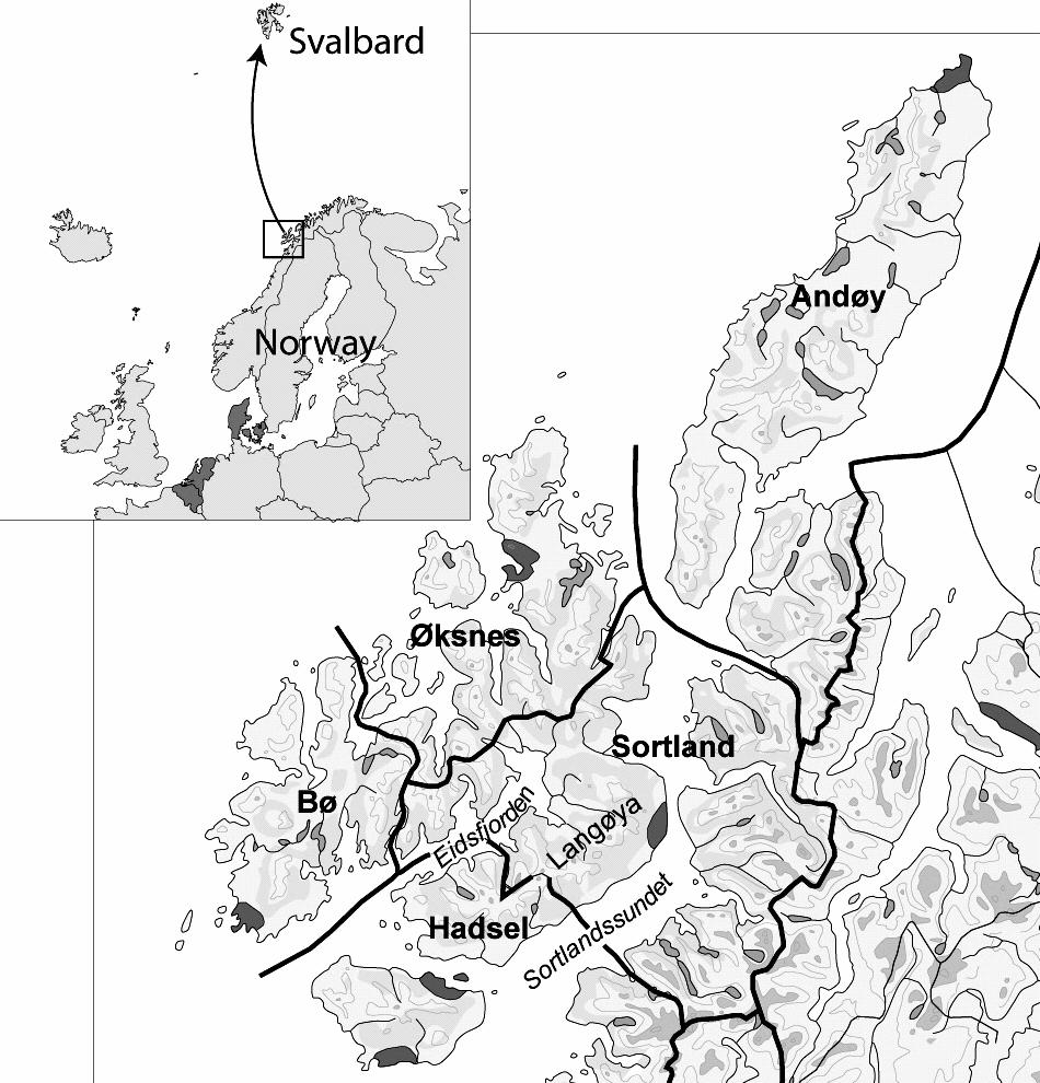 I 2004, ble det i perioden fra første gåseregistrering frem mot 26. april, gjennomført jevnlige registreringsrunder (omtrent annenhver dag) i kommunene Hadsel, Sortland og Andøy.