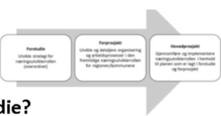 Hva skal være resultat etter endt forstudie?