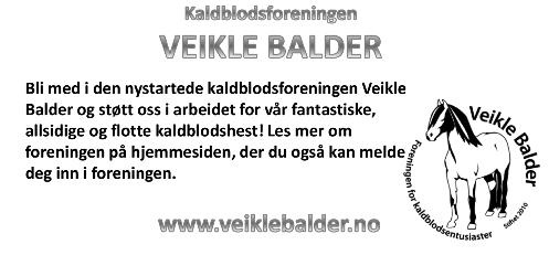 BJERKE - TIRSDAG 29. JANUAR Lunsjtrav - V5. Start 1. løp: kl. 13:37 Innmelding: onsdag 23. januar kl. 08:00-09:30. Innmelding via internett: innen onsdag 23. januar kl. 10:00.