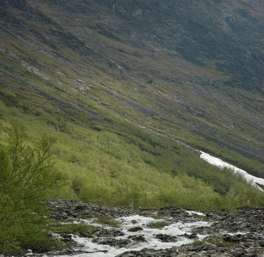 Varmare klima, grønare nedbørsfelt, brunare vatn Varmare og våtare klima Grønare