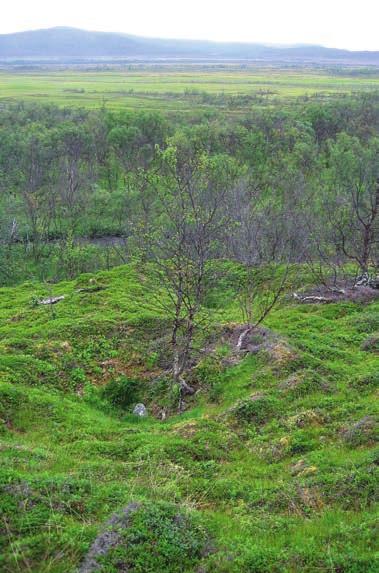 De aller fleste strukturene som var tolket som «mulig kulturpåvirket grop ikke fangstgrop» viste seg å være naturformer.