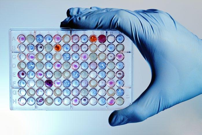 AVD. FOR MILJØKJEMI Små, smarte og trygge: Fabrikkerte nanomaterialer i vinden Vi vil ha små, smarte og trygge produkter, og nanoteknologi kan levere dem små og smarte. Men er nanomaterialer trygge?