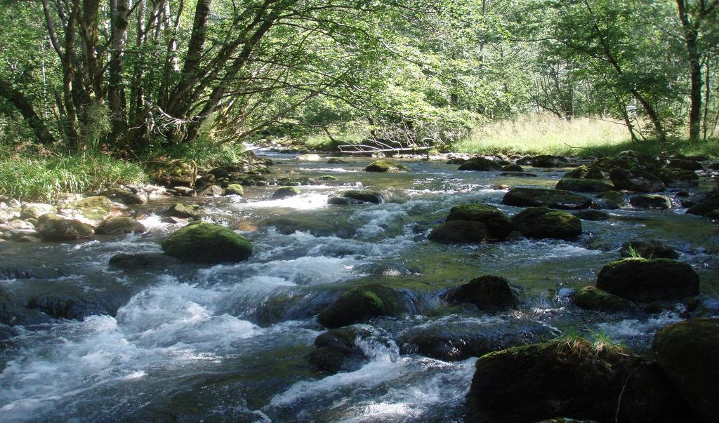 Vassregion Møre og Romsdal Forvaltningsplan for vassdrag, grunnvatn og