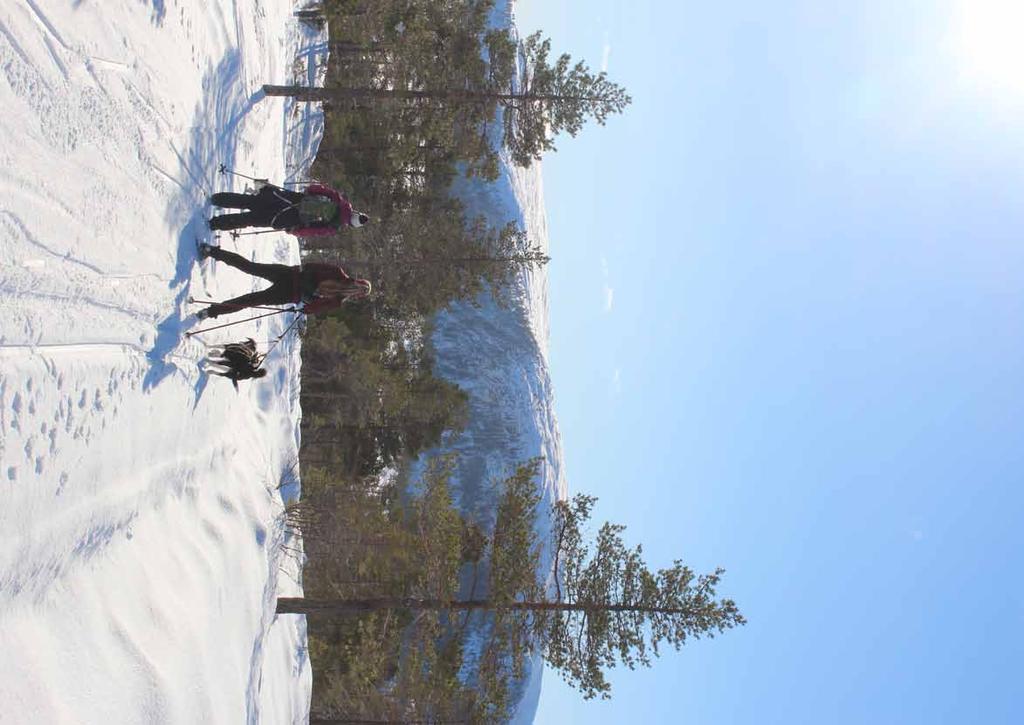 Rådhusposten Informasjonsavis fra Snillfjord