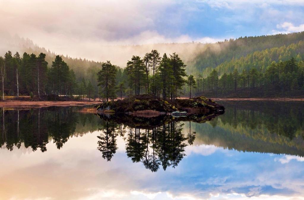 Refleksjon eksempel: refleksjon av lyset