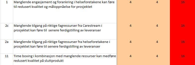 Strategi for styring og kontroll I styringsdokumentet fokuseres det på aktivitetene i planleggingsfasen.