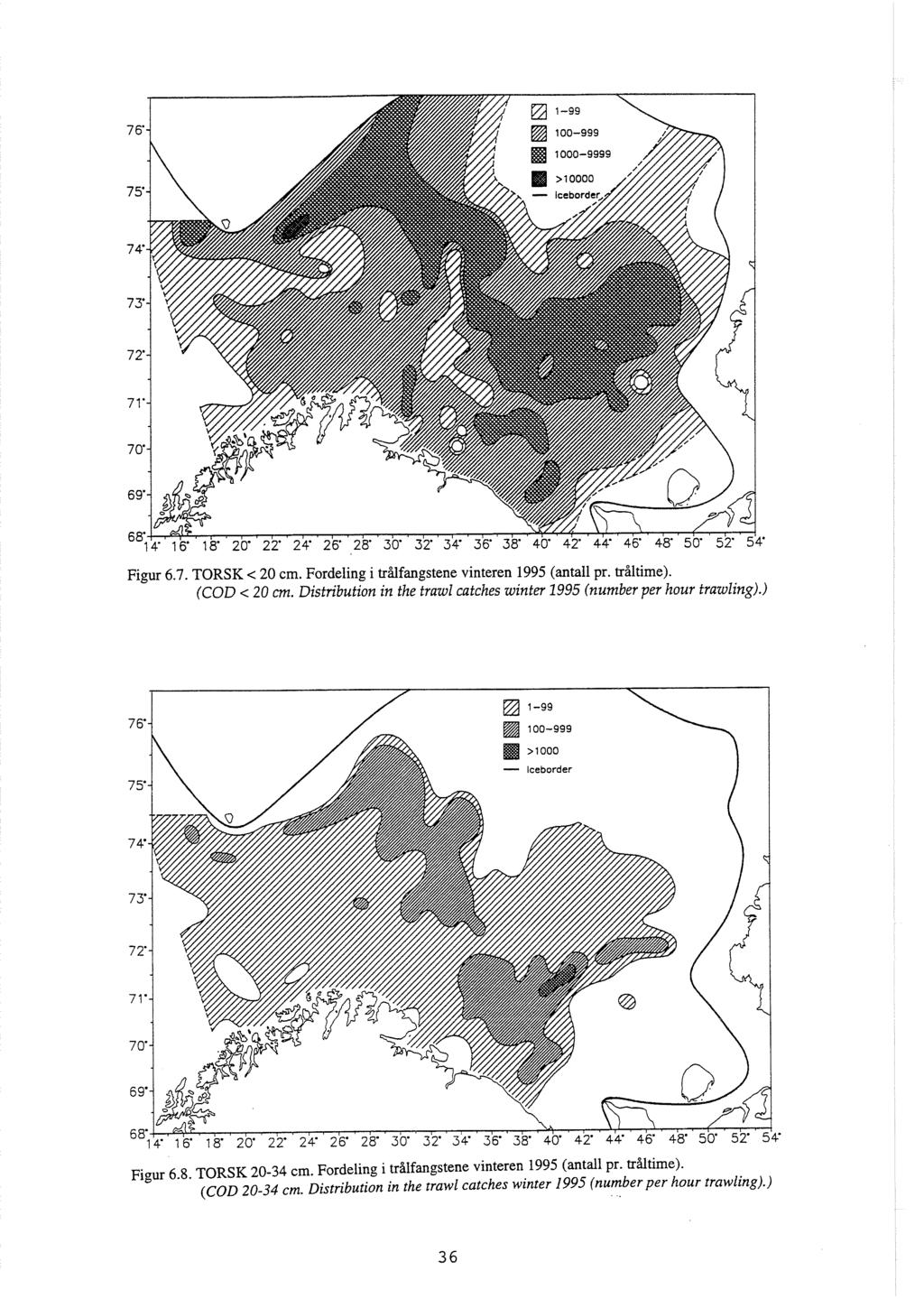 Figur 6.7. TORSK < 20 cm. Fordeling i trålfangstene vinteren 1995 (antall pr. tråltime). (COD < 20 m. Distribution in the trawl catches winter 1995 (number per hour trawling).