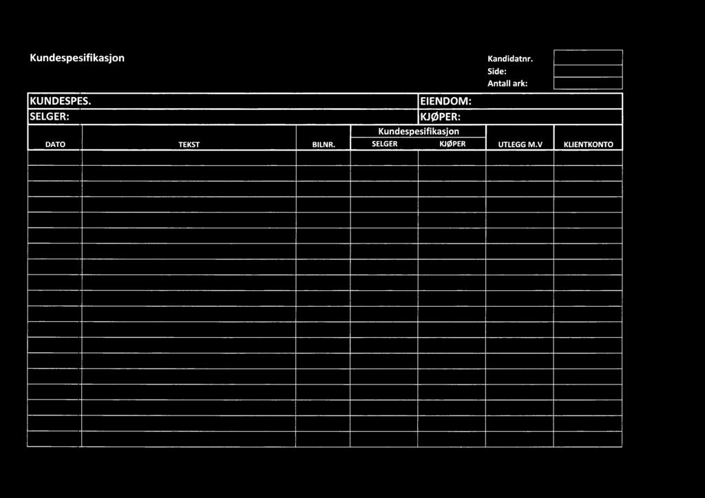 Kundespesifikasjon KUNDESPES. SELGER: TE KST Kandidatnr.