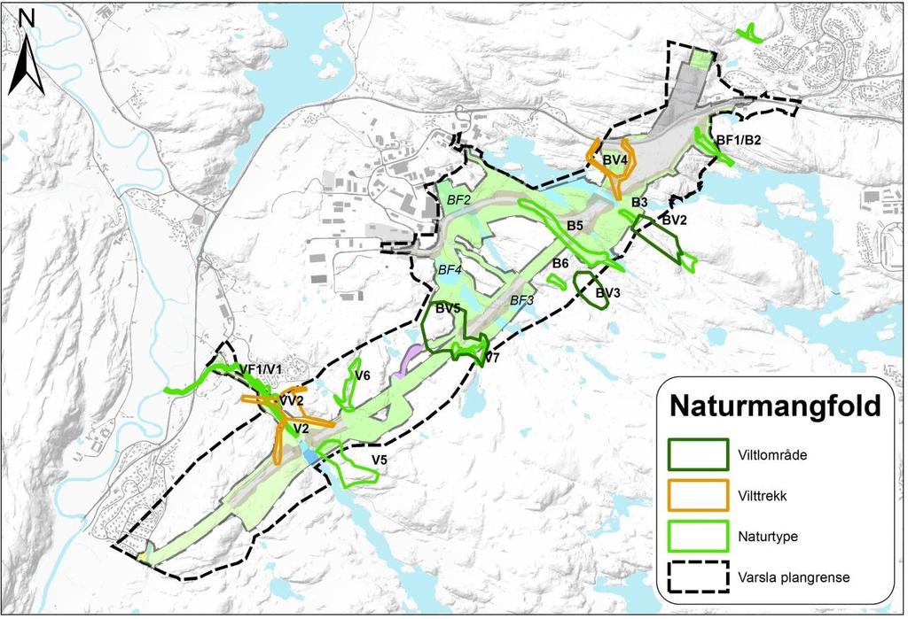 Naturmangfold Ingen A-lokaliteter.