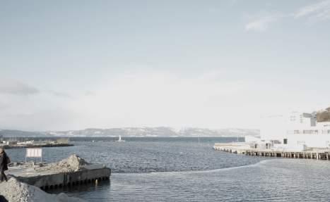 Brukerne Primærbrukere: Kunstneren: Kommunedelplan Det er planlagt at Kullkranpiren og Nyhavna skal få sentrumsfunksjoner, mens industriformål vil bli opprettholdt på den vestlige piren i første