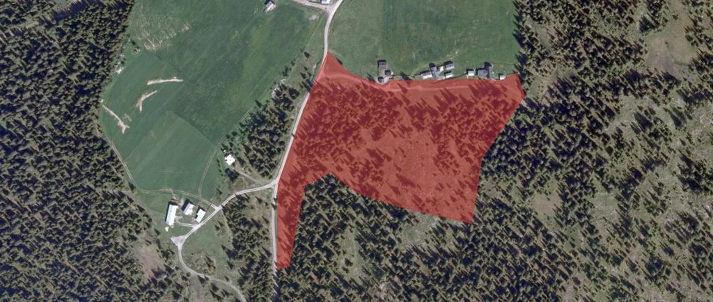 FAKTABLAD FOR NATURTYPELOKALITET VESLESETRA, BEITE, RINGEBU KOMMUNE Lokalitetsnavn: Veslesetra, beite Kommune: Ringebu Gnr/bnr: 98/1, 108/1 UTM 32 midtpunkt: 557858 6812259 Areal: 31,3 daa Naturtype: