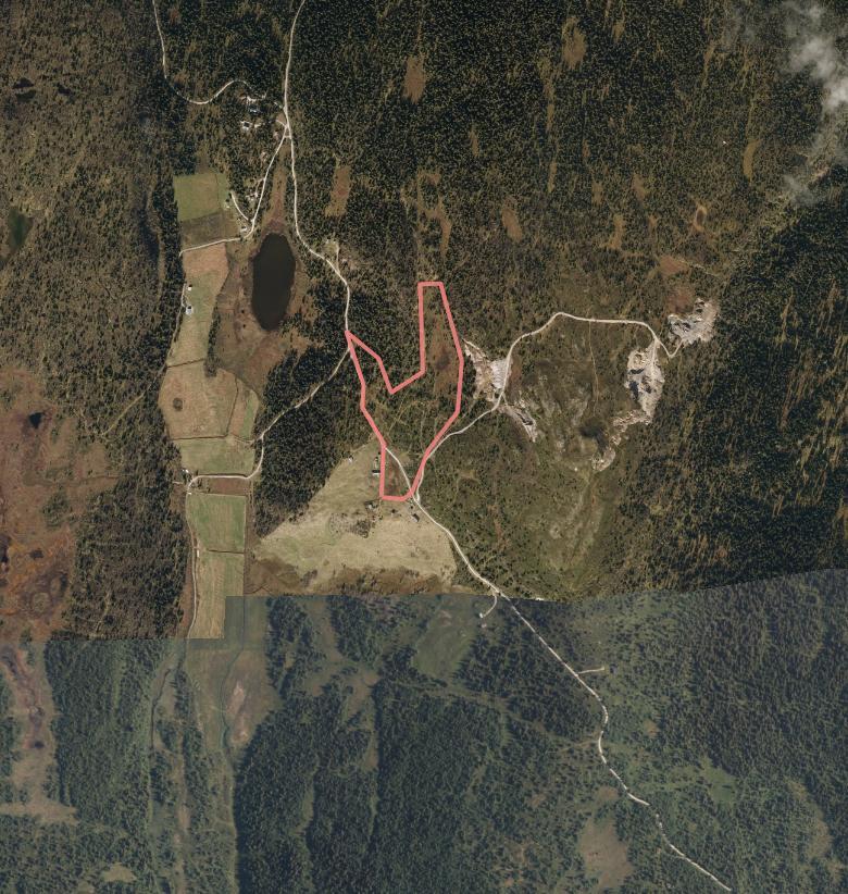 NATURTYPER I RINGEBU FAKTABLAD FOR NATURTYPELOKALITET LINVIKSETRA/ÅSENE SAMEIGE, RINGEBU KOMMUNE Lokalitetsnavn: Linviksetra/Åsene sameige ID Naturbase: Ny registrering 2014 Midtpunkt UTM32: 562446,