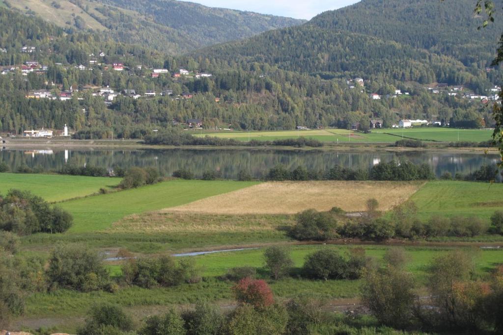 Verdibegrunnelse: Lokaliteten tilhører en sjelden representant for utformingen flommarkseng av ugjødslet slåttemark, og er i god hevd.