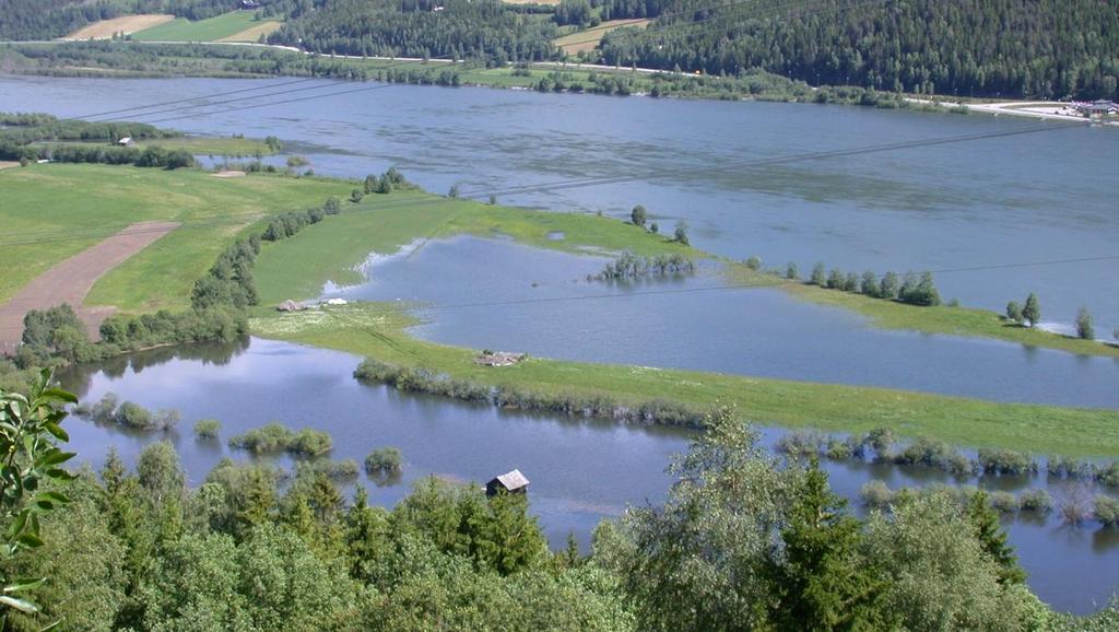 Lokaliteten Myrevollen ligger delvis under vann under vanlig vårflom. Foto Ragnhild Sperstad/ Skog og landskap 24.06.2005. Litteratur Enzensberger, T.