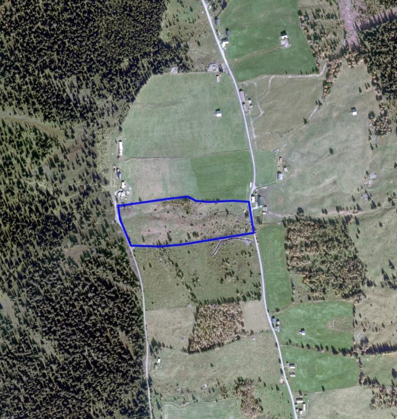 NATURTYPER I SØR-FRON FAKTABLAD FOR NATURTYPELOKALITET BERGHEIMSETRA, SØR-FRON KOMMUNE Lokalitetsnavn: Bergheimsetra ID Naturbase: Ny registrering 2014 Midtpunkt UTM32: 550348, 6834743 Gnr,bnr: 69/2