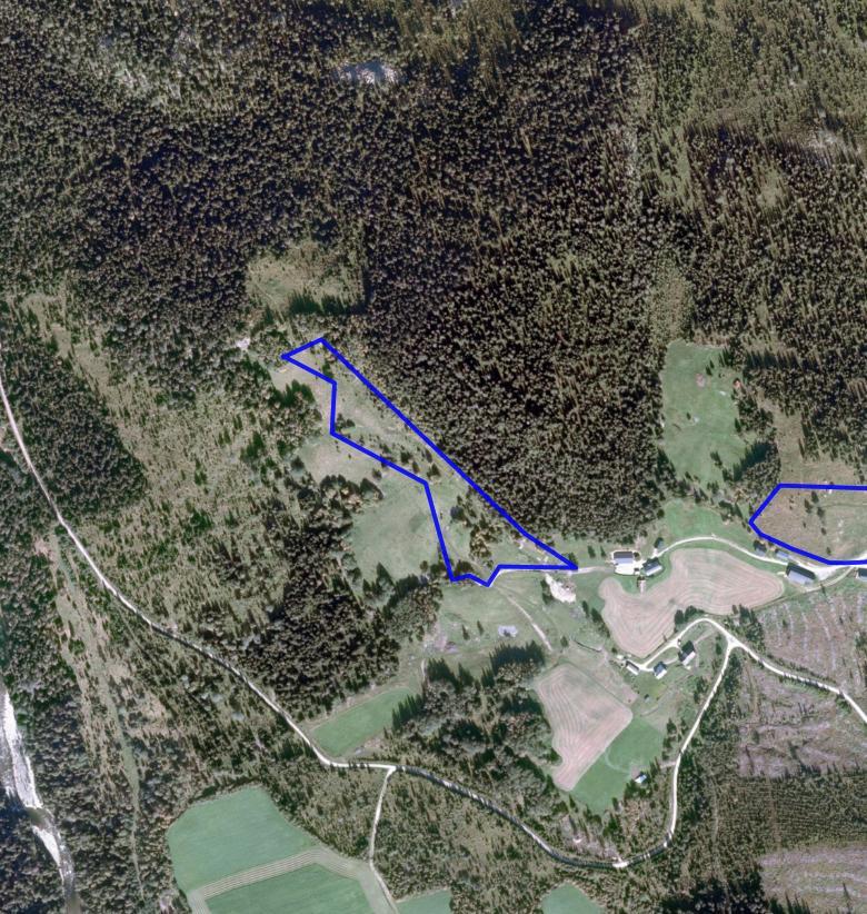 NATURTYPER I RINGEBU FAKTABLAD FOR NATURTYPELOKALITET KLEVSHOVDE Lokalitetsnavn: Klevshovde ID Naturbase: Ny registrering 2008, revidert 2015 Midtpunkt UTM32: 551368, 6837410 Gnr,bnr: 1/5, 1/10