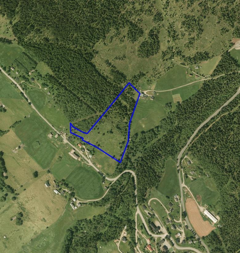 NATURTYPER I RINGEBU FAKTABLAD FOR NATURTYPELOKALITET LUNDE Lokalitetsnavn: Lunde ID Naturbase: Ny lokalitet 2008, revidert 2015 Midtpunkt UTM32: 555530, 6829796 Gnr,bnr: 17/1, 17/3 Areal: 27 daa