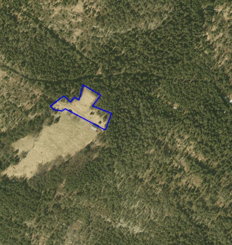 NATURTYPER I RINGEBU FAKTABLAD FOR NATURTYPELOKALITET BERGOM Lokalitetsnavn: Bergom ID Naturbase: Ny lokalitet 2009, revidert 2015 Midtpunkt UTM32: 557324, 6825886 Gnr,bnr: 31/7 Areal: 3,5 daa