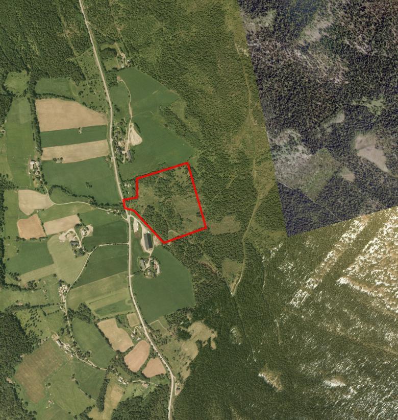 NATURTYPER I RINGEBU FAKTABLAD FOR NATURTYPELOKALITET HAUGSTAD SØNDRE Lokalitetsnavn: Haugstad Søndre ID Naturbase: Ny lokalitet 2009, revidert 2015 Midtpunkt UTM32: 556727, 6827255 Gnr,bnr: 27/1