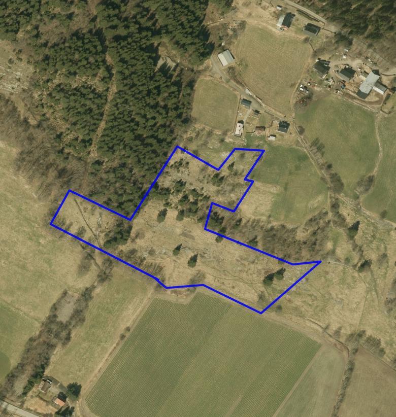 NATURTYPER I RINGEBU FAKTABLAD FOR NATURTYPELOKALITET SANNOM Lokalitetsnavn: Sannom ID Naturbase: Ny lokalitet 2009, revidert 2015 Midtpunkt UTM32: 558539, 6824669 Gnr,bnr: 36/1, 38/1, 39/4 Areal: 21