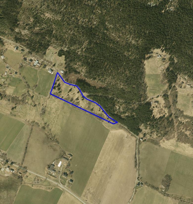 NATURTYPER I RINGEBU FAKTABLAD FOR NATURTYPELOKALITET MÆLUM Lokalitetsnavn: Mælum ID Naturbase: Ny lokalitet 2009, revidert 2015 Midtpunkt UTM32: 558952, 6824654 Gnr,bnr: 39/1 Areal: 19 daa