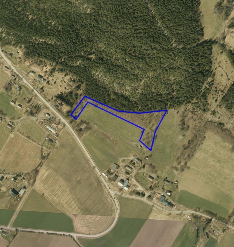 NATURTYPER I RINGEBU FAKTABLAD FOR NATURTYPELOKALITET NORDRUM, BJØRKEHAGEN Lokalitetsnavn: Nordrum, bjøkehagen ID Naturbase: Ny lokalitet 2009, revidert 2015 Midtpunkt UTM32: 557983, 6824862 Gnr,bnr: