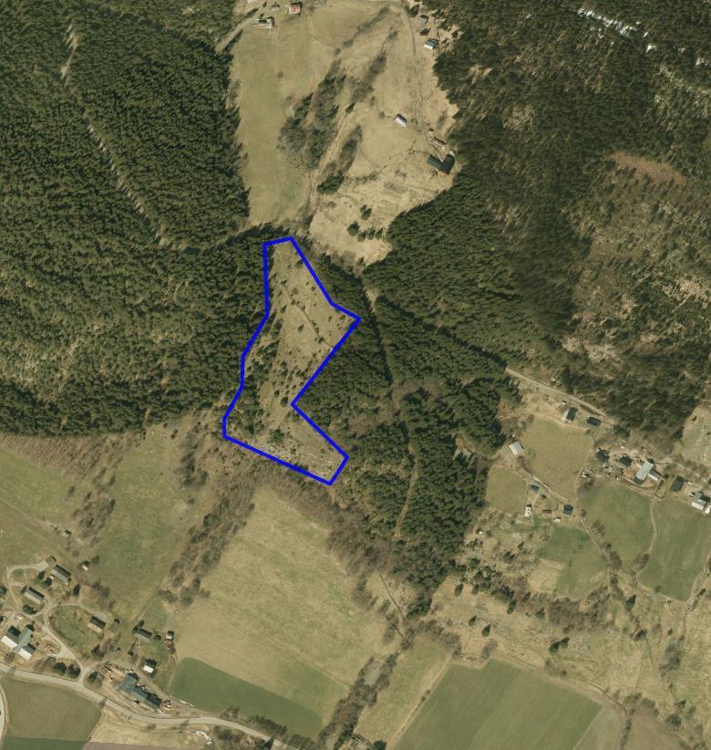 NATURTYPER I RINGEBU FAKTABLAD FOR NATURTYPELOKALITET NORDRUM NORDRE Lokalitetsnavn: Nordrum nordre ID Naturbase: Ny lokalitet 2009, revidert 2015 Midtpunkt UTM32: 558341, 6824943 Gnr,bnr: 35/1