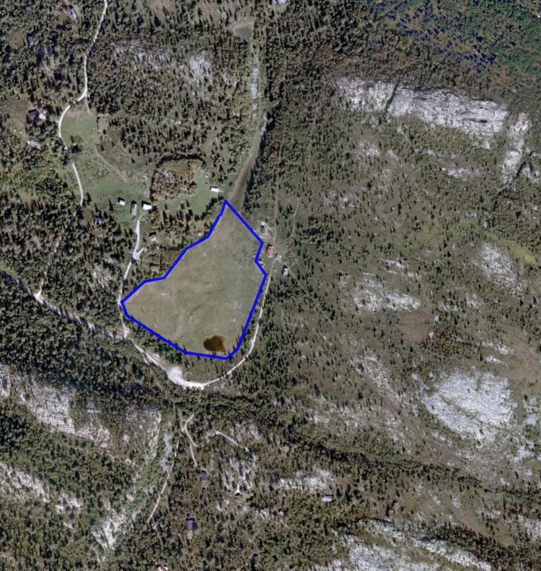 NATURTYPER I RINGEBU FAKTABLAD FOR NATURTYPELOKALITET VENÅSSETRA Lokalitetsnavn: Venåssetra ID Naturbase: Ny lokalitet 2009, revidert 2015 Midtpunkt UTM32: 552981, 6841219 Gnr,bnr: 31/7 Areal: 30daa