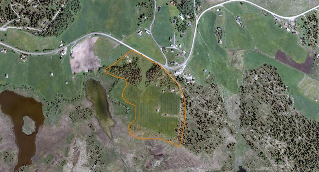 FAKTABLAD FOR NATURTYPELOKALITET FLAUSETRA, RINGEBU KOMMUNE Lokalitetsnavn: Flausetra ID Naturbase: BN00037698 Kommune: Ringebu Gnr/bnr: 154/1 UTM 32 midtpunkt: 566056 6815661 Areal: 65 daa