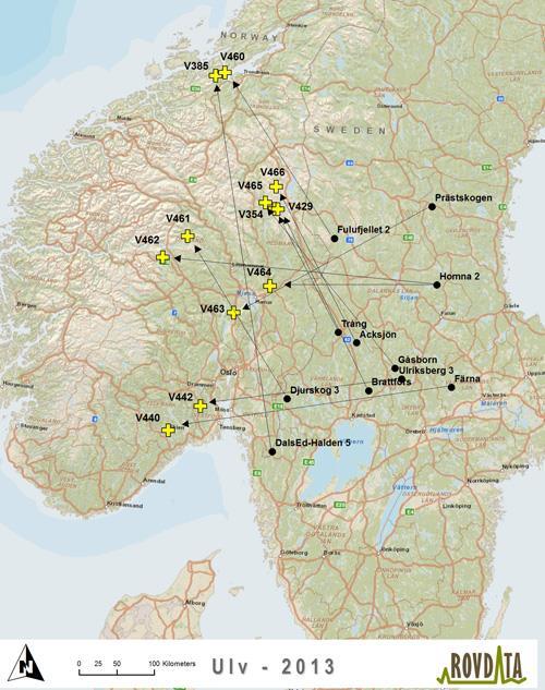 DNA mange svar RovbaseID Individ Kjønn Dødsdato Fødselsrevir Fellingssted - kommune M406048 V465+ M 10.02.2013 Gåsborn RENDALEN (N) M406083 V440+ M 01.02.2013 Färna DRANGEDAL (N) M406216 V442+ M 23.