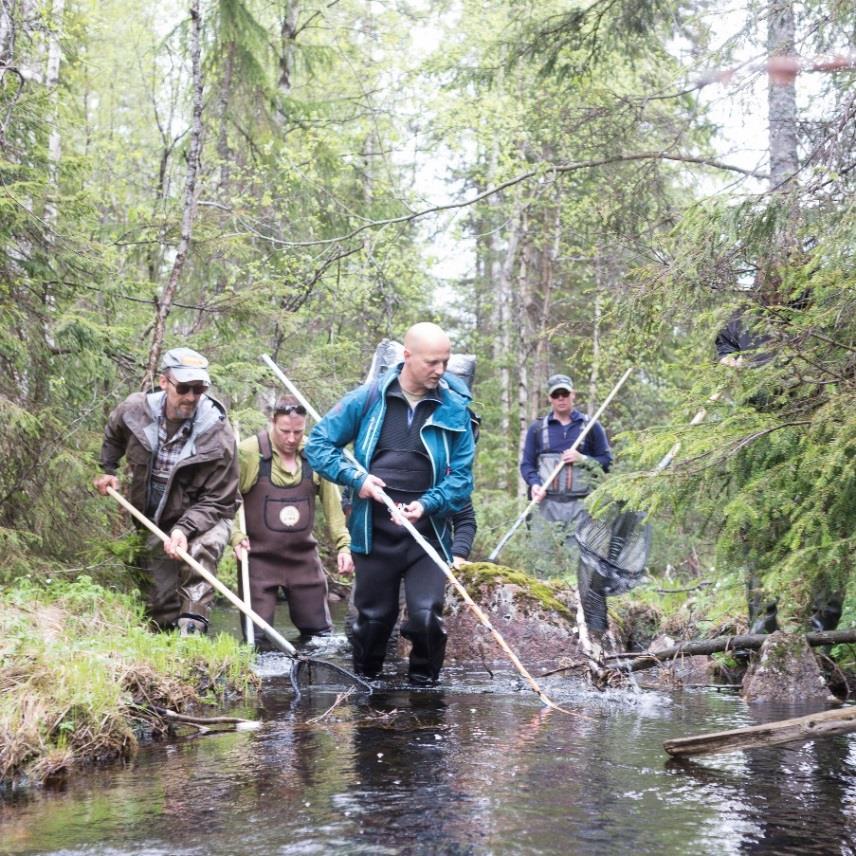 Vi gikk via Svarttjern, inn på blåmerka fra Djupengrop som fører til Lårvika og Sandtjern.