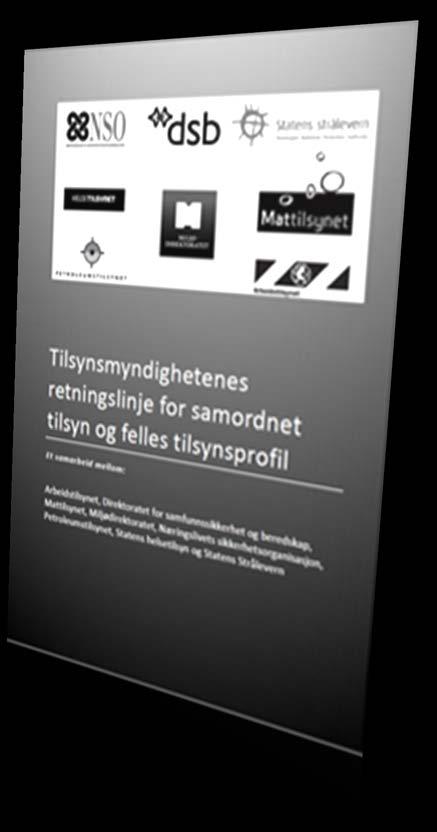 4.1 DEFINISJONER Sentrale definisjoner er hentet fra et felles dokument utarbeidet av alle tilsynsmyndighetene, "Tilsynsmyndighetenes retningslinje for samordnet tilsyn og felles tilsynsprofil".