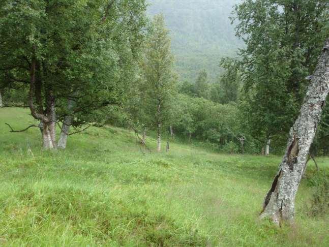 ikke full oversikt over prioriterte naturtypeområder som er vernet i fylket. Evalueringene av skogvernet er basert på annen informasjon som er kjent fra områdene. 2.