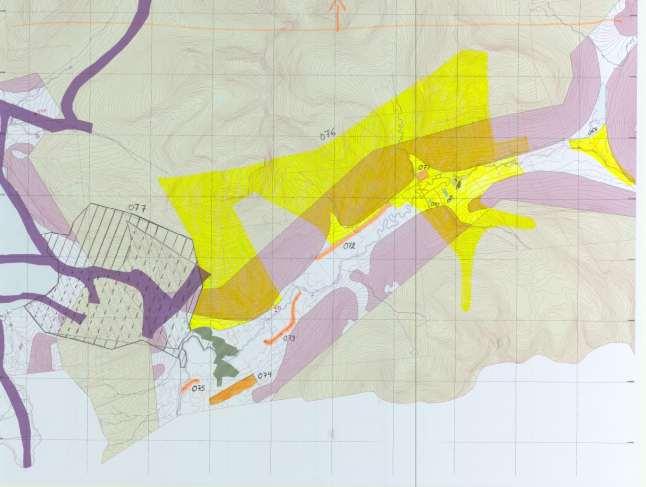 Figur 14. Utsnitt av Balsfjords arealplan med Skardet (svart skravur) og planlagte vintersportsanlegg (gult).