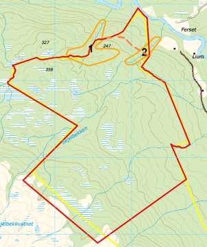 7.17 Målselv Brennskoglia (Devdislia) Området ligger midt i Dividalen, som er særlig berørt av vernet: 5 områder som utredes for skogvern, dessuten eksisterende vern med Øvre Dividalen Nasjonalpark