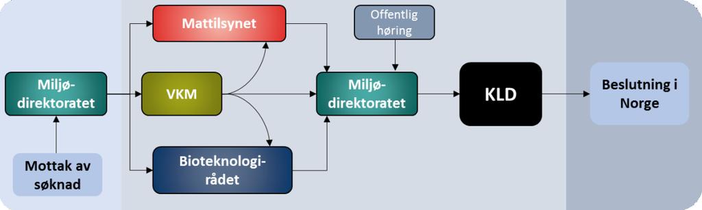 Tidligere skjedde, som illustrert i Fig. 1, hovedvekten av vurderingene og saksbehandlingen i Norge etter at EU hadde fattet sin beslutning.