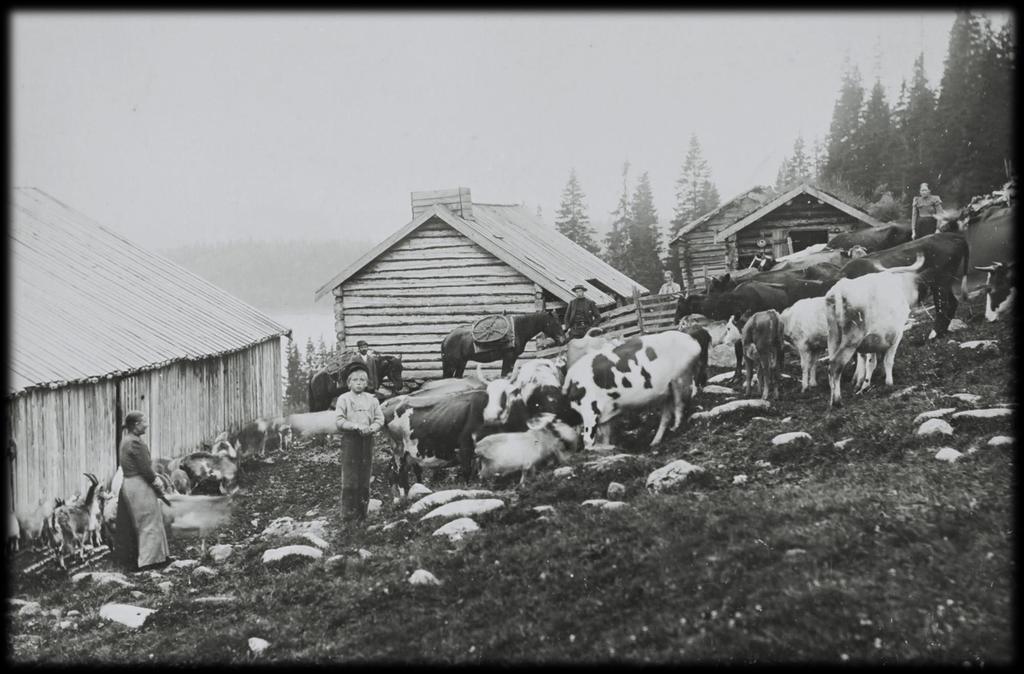 «Til hver gård hører en