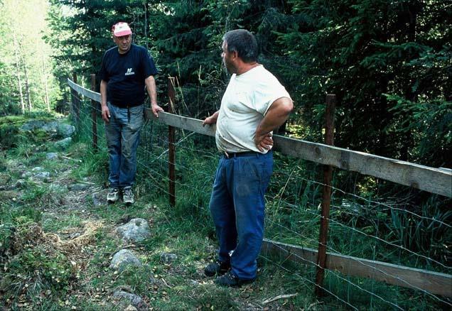 Sperregjerde, ansvar/eigar: - Beitelag - Gjerdelag -