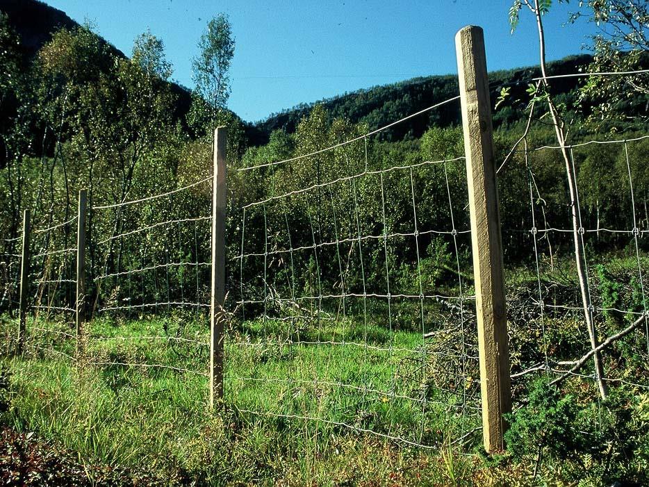 Netting-gjerde - kjøp den dyreste nettingen - bruk bord på toppen eller overtråd, gjerne