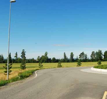 21 Fv. 450 Kongsvingervegen, Borgenkrysset Veginfo: Asfaltdekke med hvit- og gul stripe. Fartsgrense 80 km/t. ÅDT 8400. Allélengde: 37 m. Ensidig rekke, plantet.