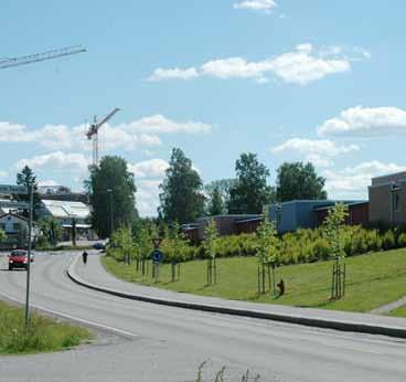 7 Fv. 178 Gardermovegen, Gjestad øst Veginfo: Asfaltdekke med hvit- og gul stripe. Fartsgrense 50 km/t. ÅDT 5400. Vegbredde: 6,8 m. Allélengde: 191,5 m. Ensidig trerekke, plantet.