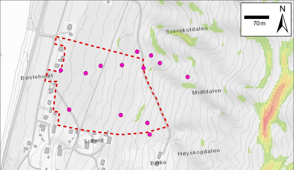 Figur 3: Kart over reguleringsområdet som viser skråningshelning skravert fra grønt (>25 ) til rødt (>45 ). GPS-punkt for området som er undersøkt ved befaring er markert med rosa punkter.