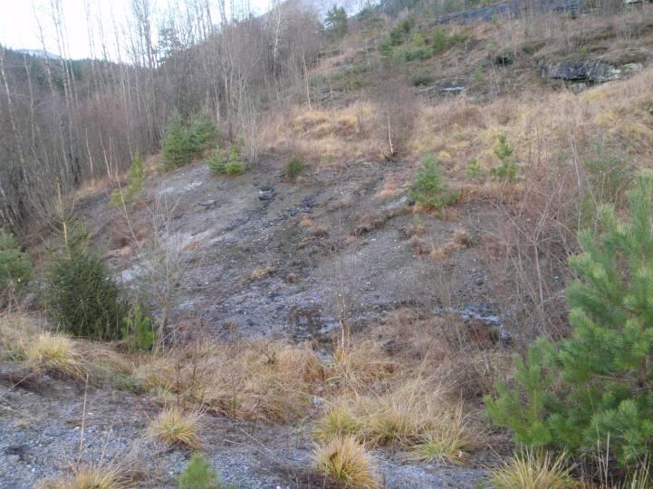 Terrenget her er relativt bratt oppover. Nederst er det en del sand, mens oppover i skråningen er jordsmonnet tynt og med et høyt organisk innhold.