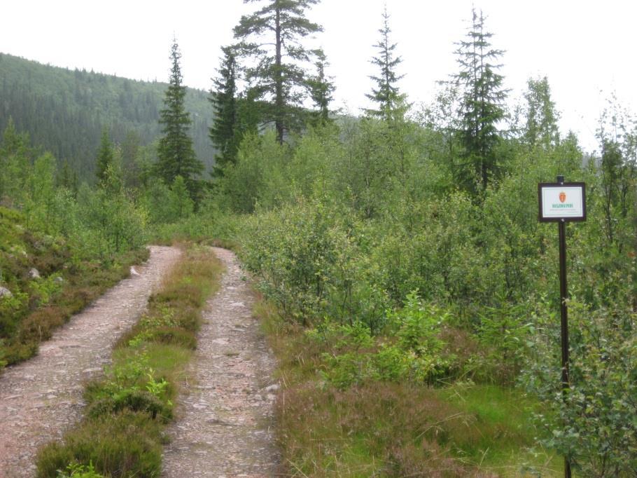 skiltet med standard nasjonalparkskilter («løveskilter») der veier og markerte stier krysser grensa. Arbeidet har vært utført av Norconsult, avd. Os. Bilde 5.