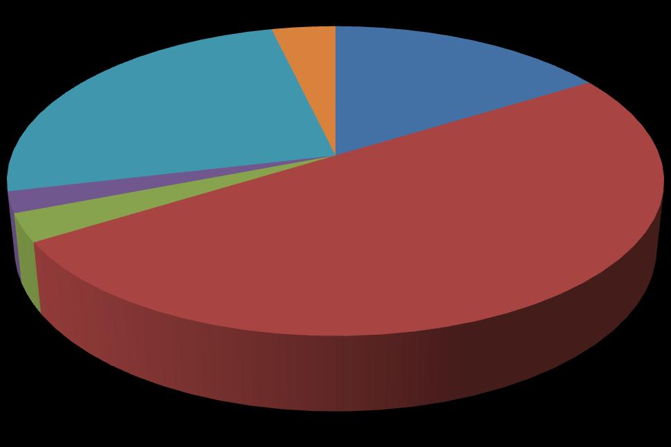 Fordeling av typer avvik 2 % 4 % 25 % 16 % 50 % Kategori 1 Kategori 2 Kategori 3 Kategori 4 Kategori 5 Kategori 6 3 % Figur 1: Diagrammet viser fordeling av typer avvik. Se avsnitt 2.