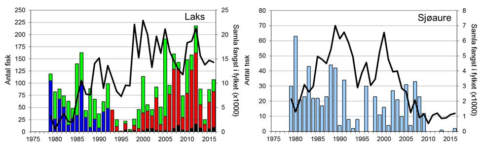 FANGST OG SKJELPRØVAR I HÅLANDSELVA Gjennomsnittleg årsfangst av laks i perioden 1979-2016 var 84 (snittvekt 3,6 kg).